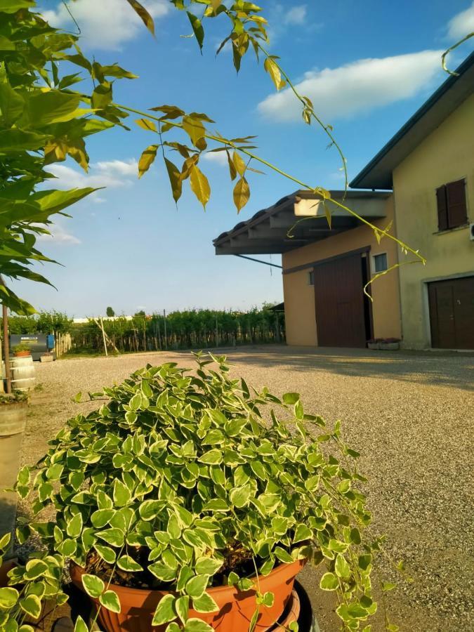 Corte Ohana Monteforte d'Alpone Exterior photo