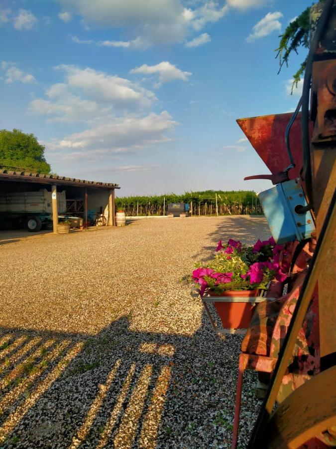 Corte Ohana Monteforte d'Alpone Exterior photo